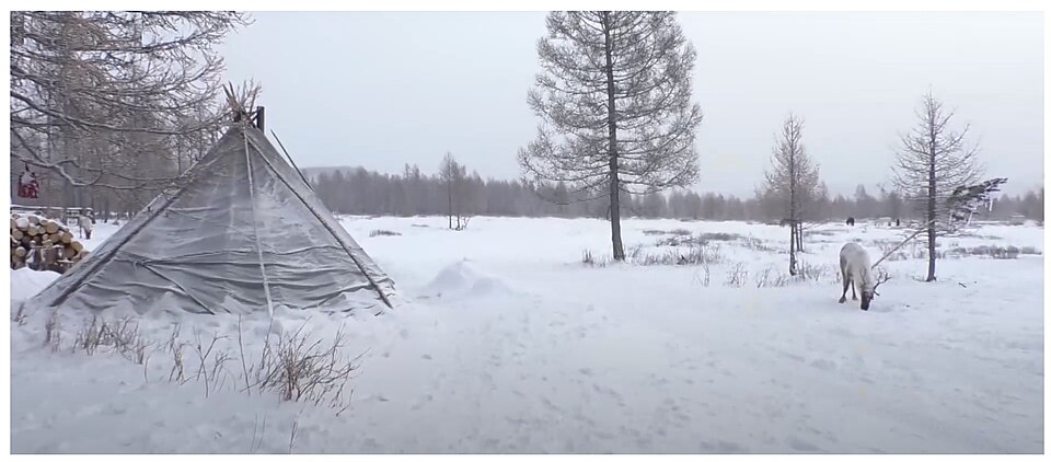 Dukha Traditional Ortц Tent
