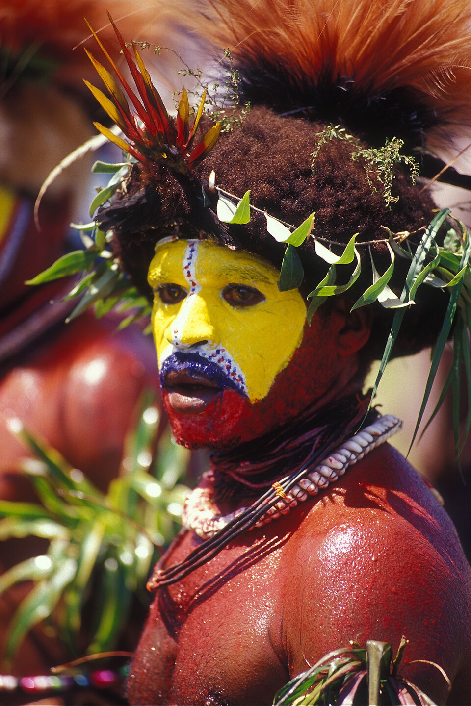 Huli Wigmen Face Paint Papua