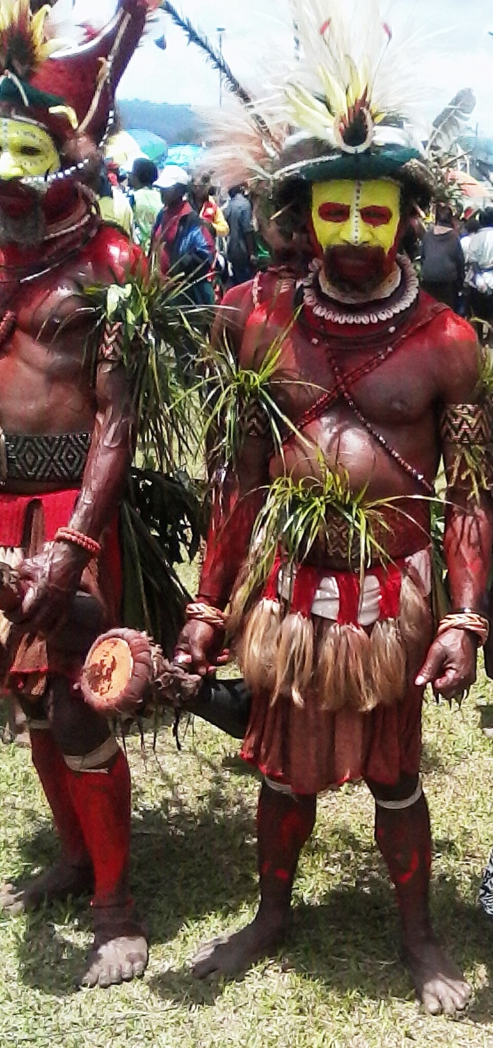 Huli Ritual Ceremonial Wig