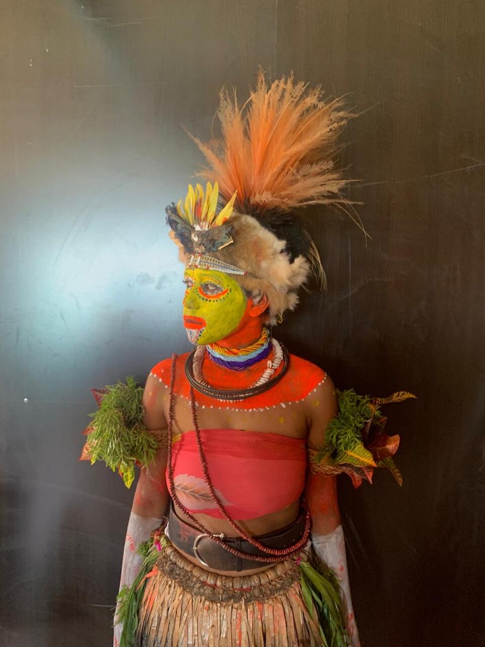Huli Tribal Universal Bank Pigs