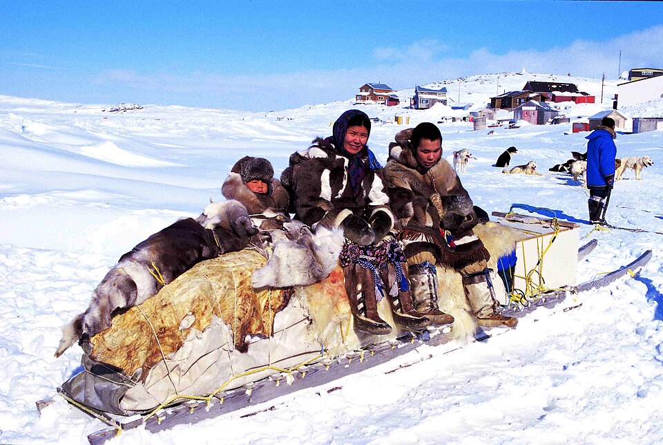 Inuit Qamutik Traditional Sled