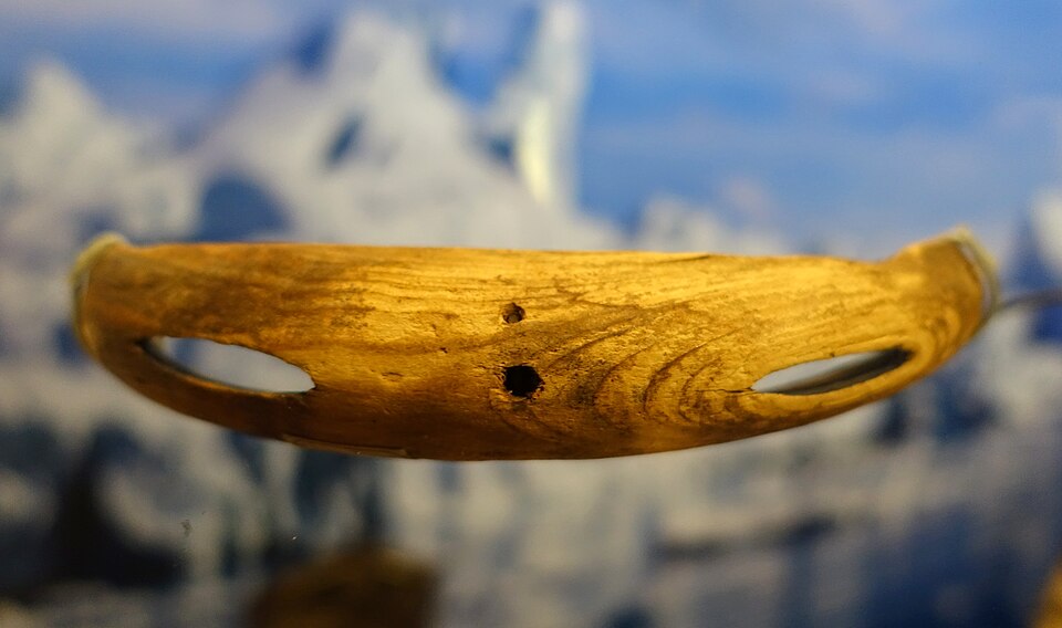 Ancient Bone Snow Goggles
