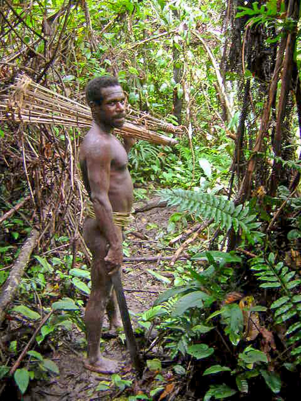 Korowai Tribe Life