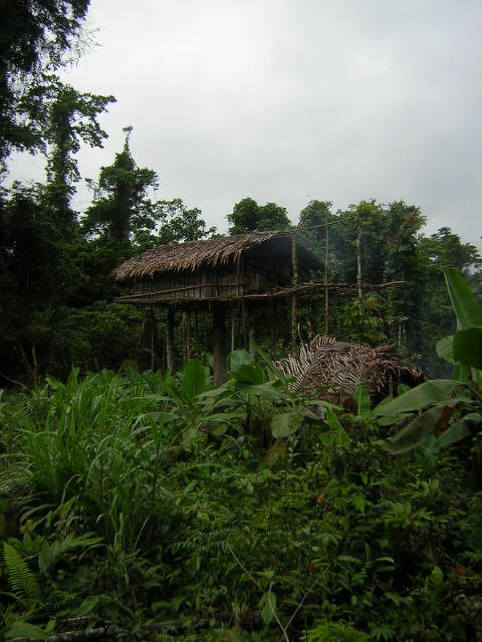 Korowai Construction