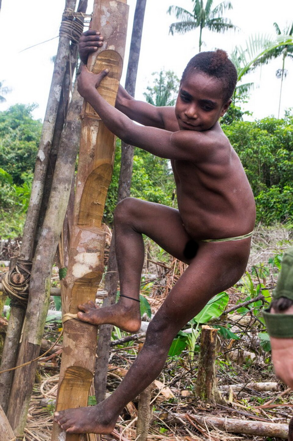 Korowai Trophies or Forest Life