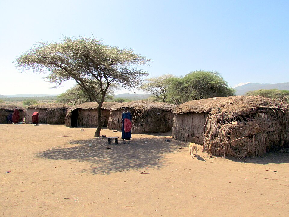 Maasai Women Building Hut