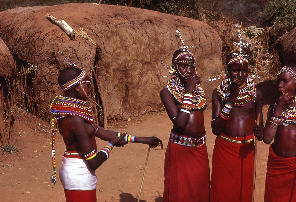 Maasai Sacred Cattle Herd