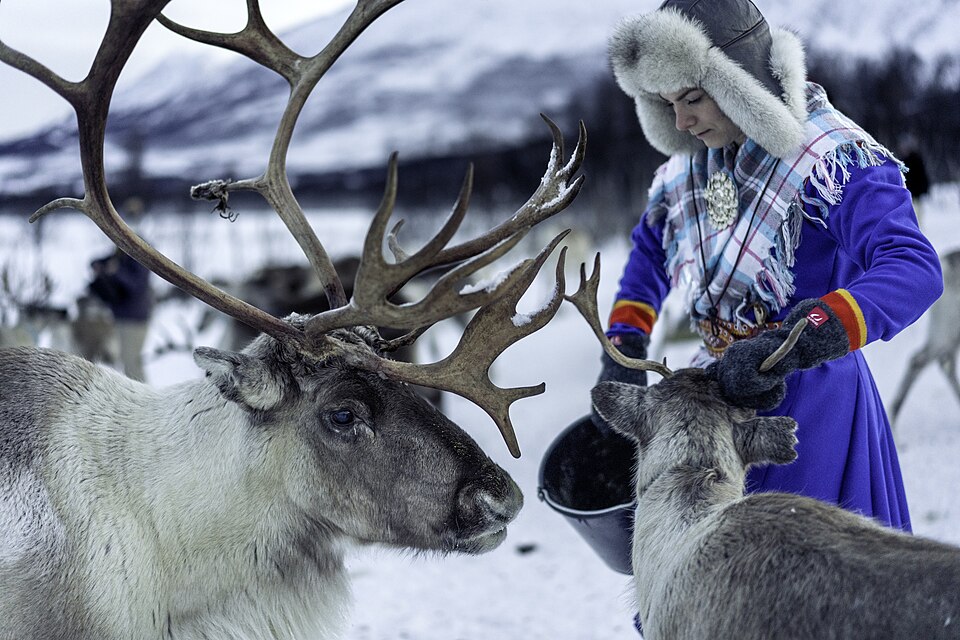 Sami People Lapland Tundra