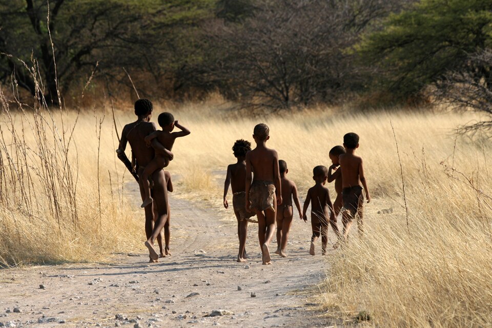 Bushman Hunter Stargazing Night